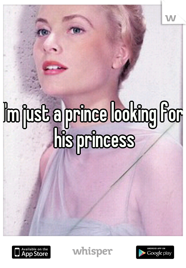 I'm just a prince looking for his princess
