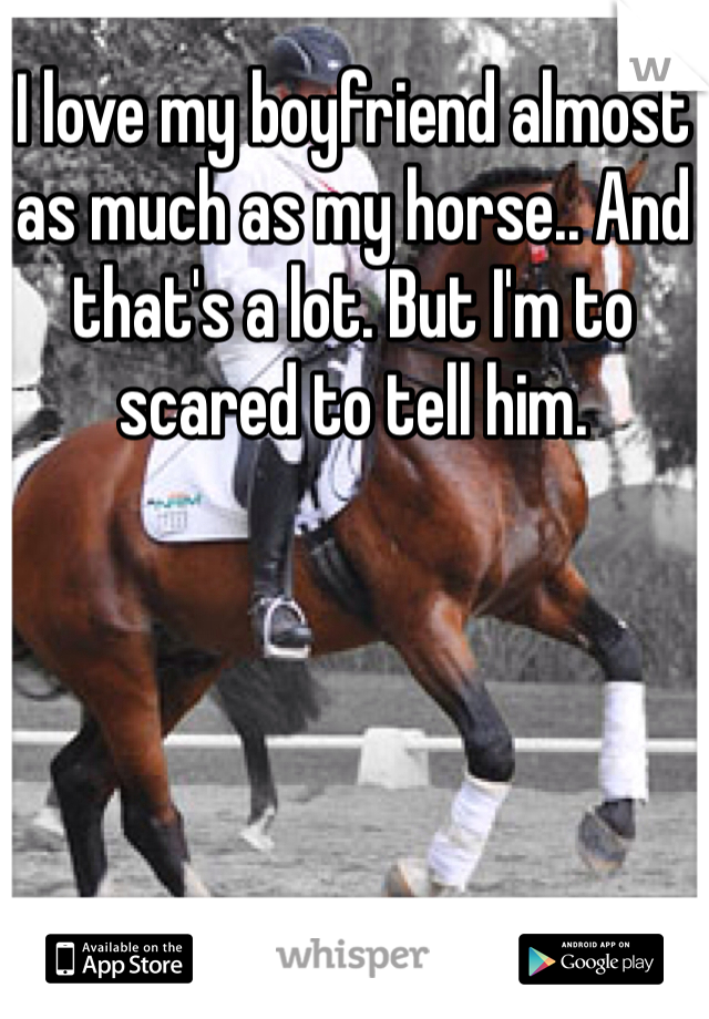 I love my boyfriend almost as much as my horse.. And that's a lot. But I'm to scared to tell him.