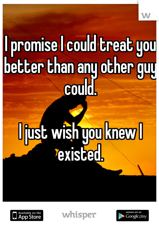 I promise I could treat you better than any other guy could.

I just wish you knew I existed.