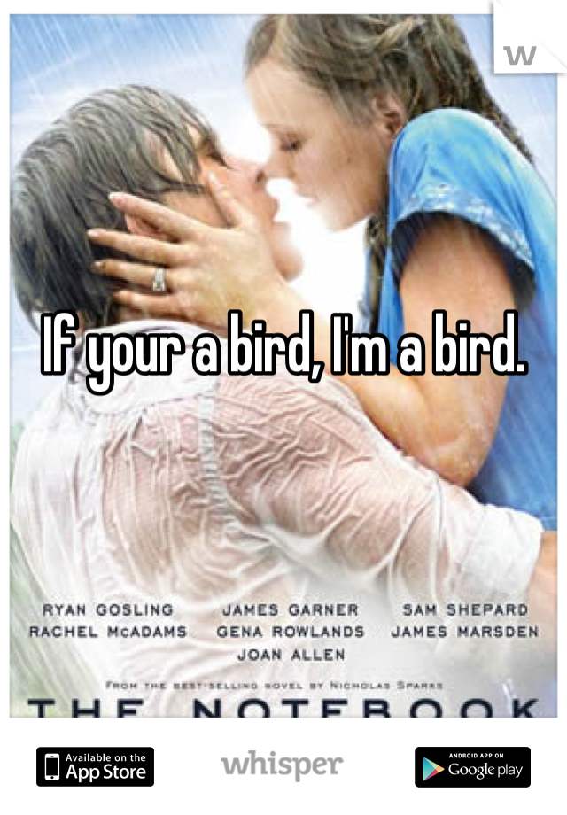 If your a bird, I'm a bird.