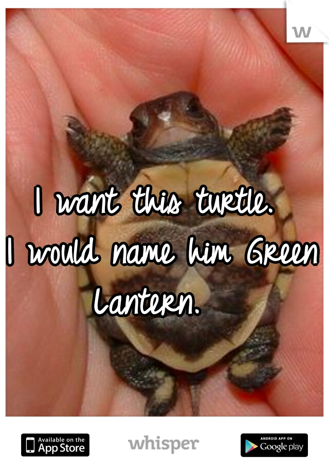I want this turtle. 




I would name him Green Lantern.   
