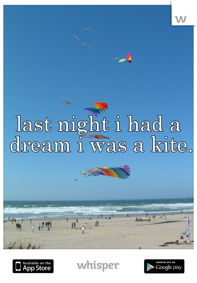 last night i had a dream i was a kite.
