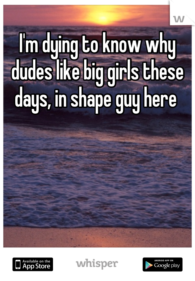 I'm dying to know why dudes like big girls these days, in shape guy here 