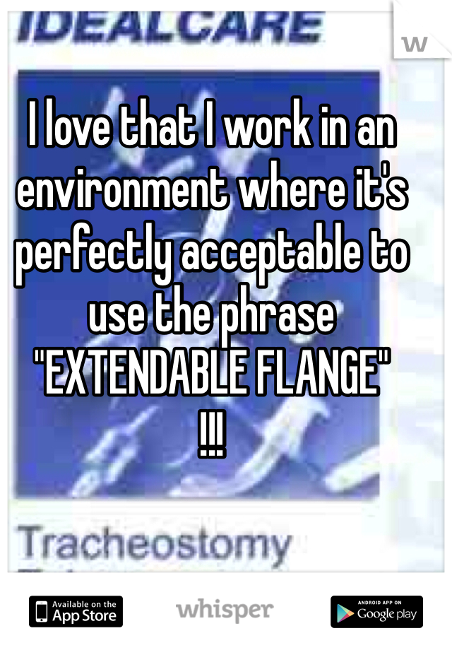 I love that I work in an environment where it's perfectly acceptable to use the phrase 
"EXTENDABLE FLANGE"
!!!