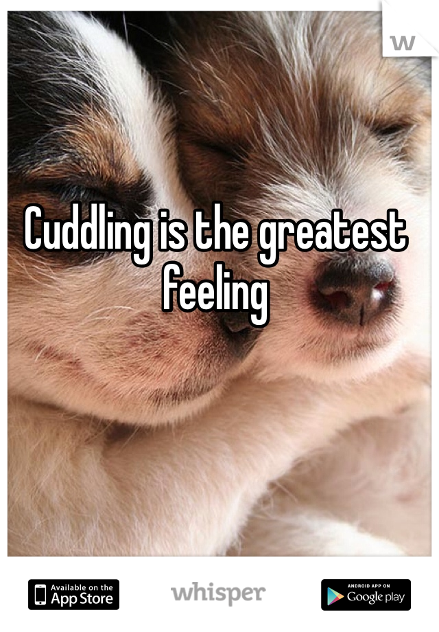 Cuddling is the greatest feeling