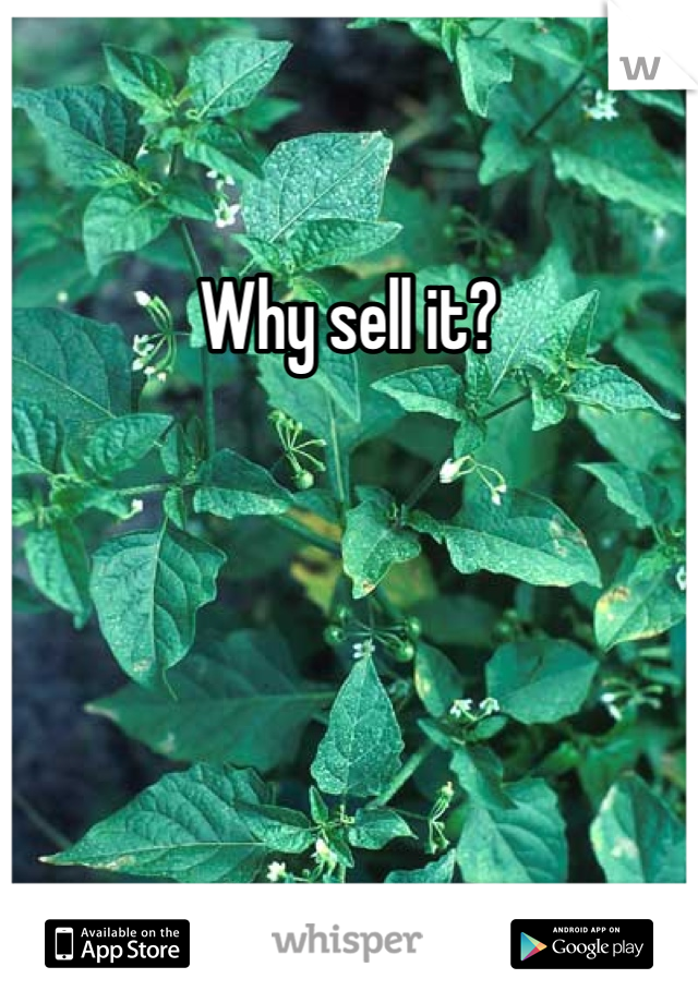 Why sell it?