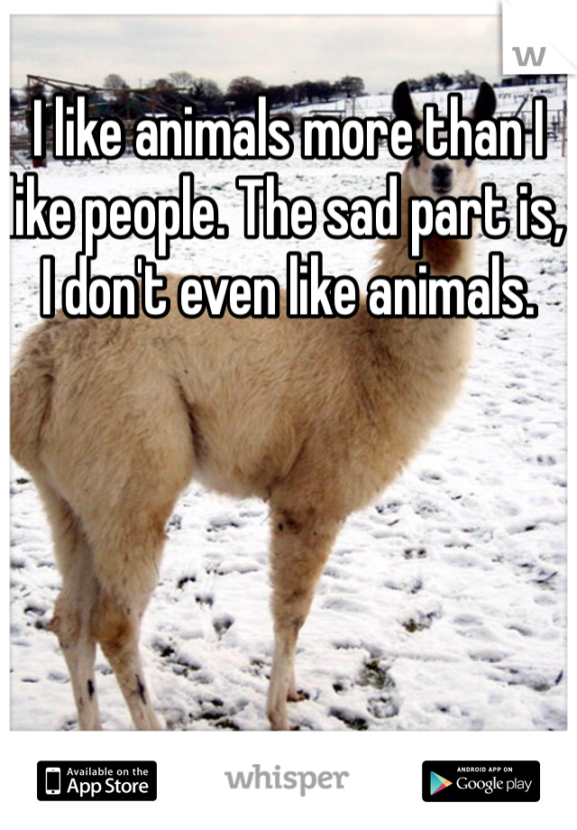 I like animals more than I like people. The sad part is, I don't even like animals.