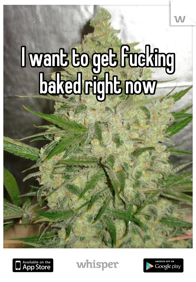 I want to get fucking baked right now