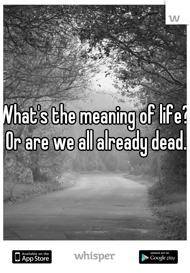 What's the meaning of life? Or are we all already dead.