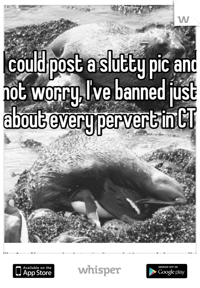 I could post a slutty pic and not worry, I've banned just about every pervert in CT