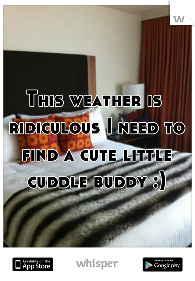 This weather is ridiculous I need to find a cute little cuddle buddy :)