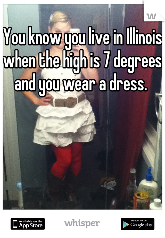 You know you live in Illinois when the high is 7 degrees and you wear a dress. 