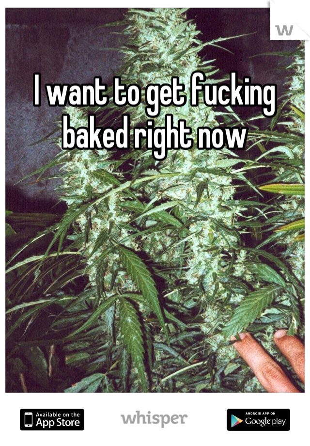 I want to get fucking baked right now
