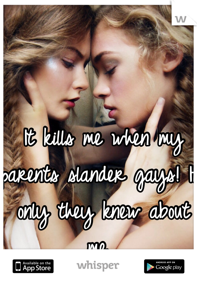 It kills me when my parents slander gays! If only they knew about me...