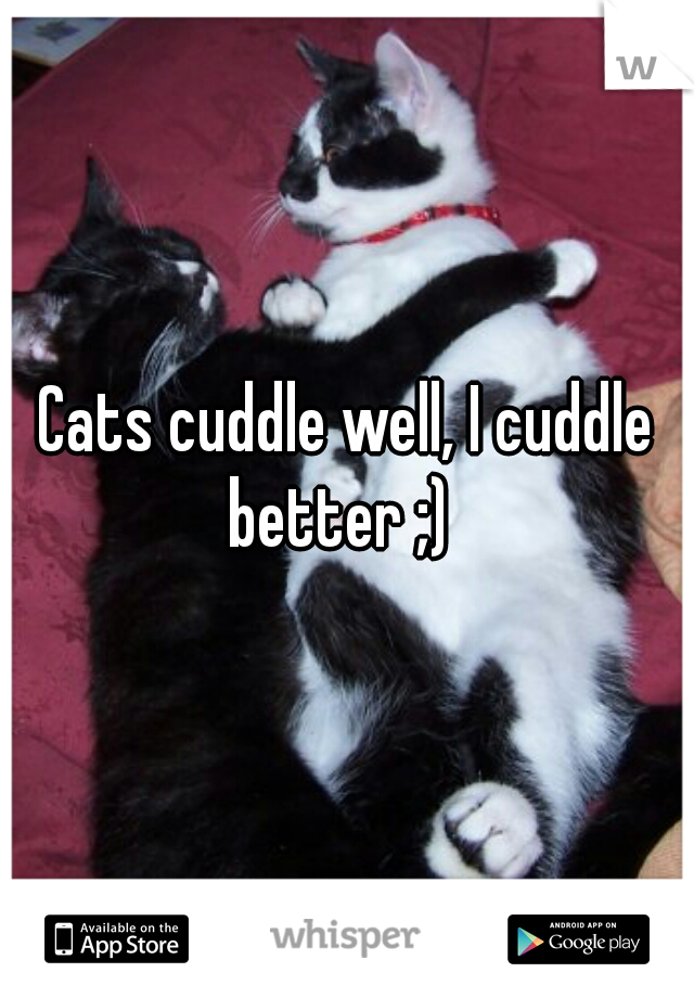 Cats cuddle well, I cuddle better ;)  