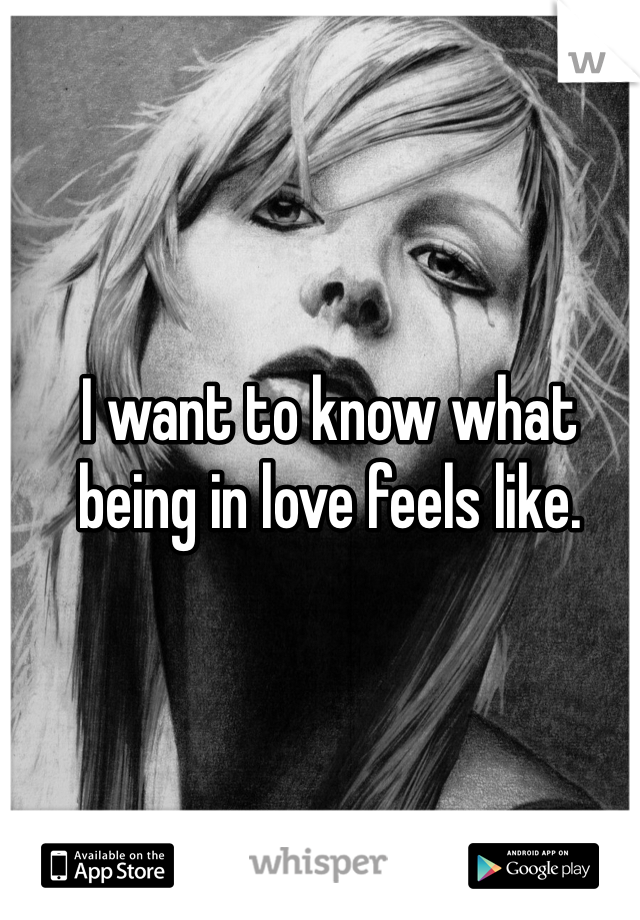 I want to know what being in love feels like. 