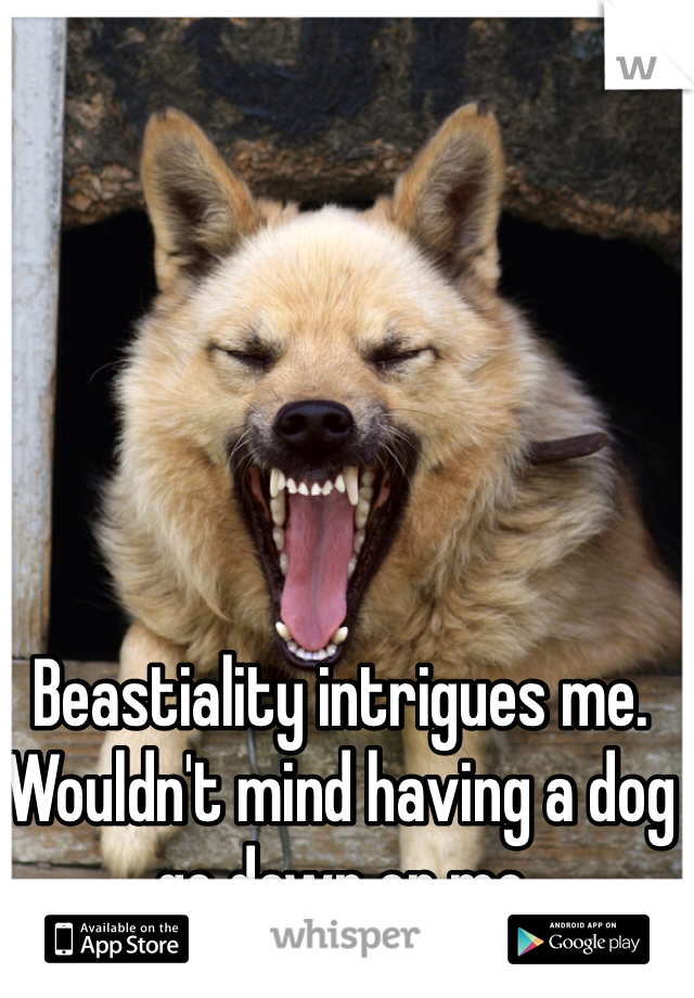 Beastiality intrigues me. Wouldn't mind having a dog go down on me 