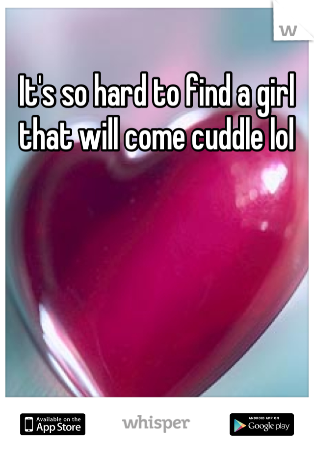 It's so hard to find a girl that will come cuddle lol