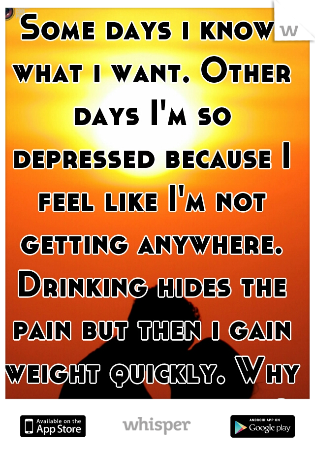Some days i know what i want. Other days I'm so depressed because I feel like I'm not getting anywhere. Drinking hides the pain but then i gain weight quickly. Why cant life be easier?