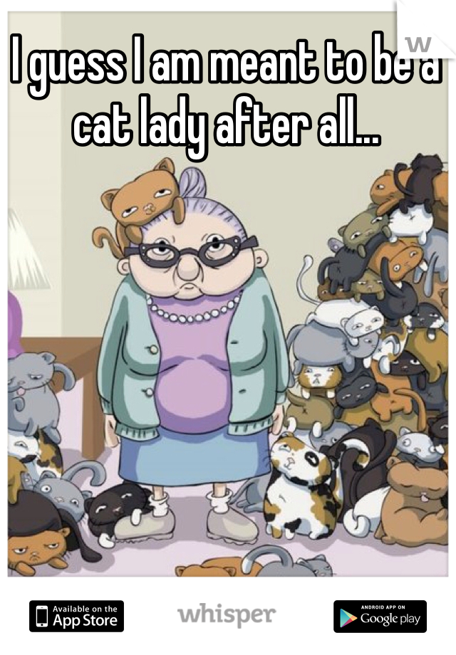I guess I am meant to be a cat lady after all...
