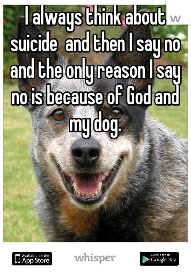 I always think about suicide  and then I say no and the only reason I say no is because of God and my dog.