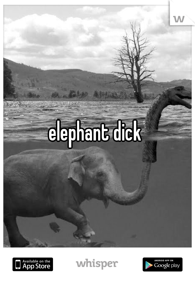 elephant dick 