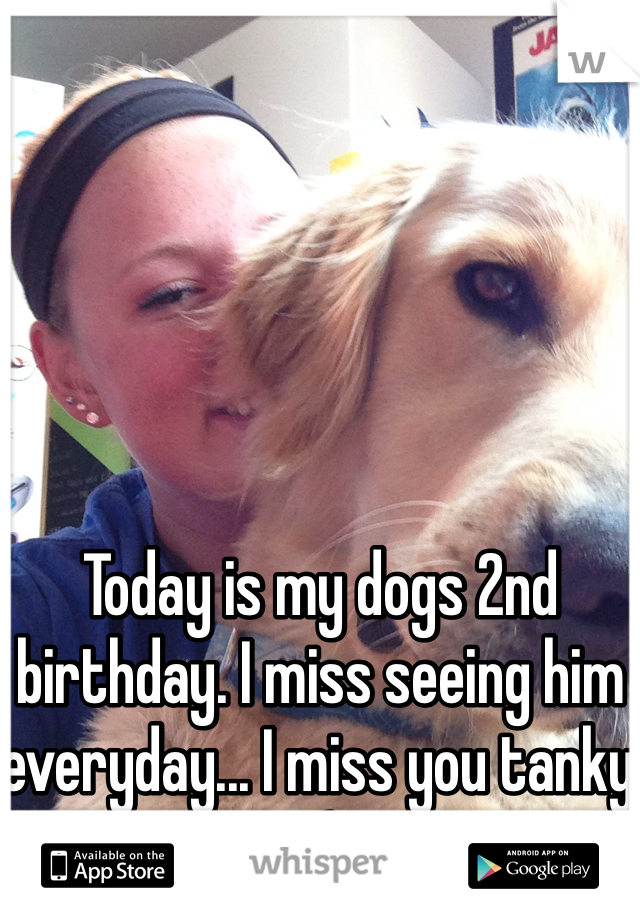 Today is my dogs 2nd birthday. I miss seeing him everyday... I miss you tanky :( 