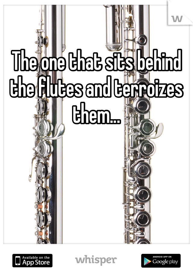 The one that sits behind the flutes and terroizes them...