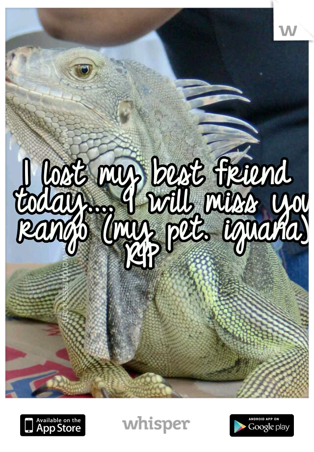 I lost my best friend today.... I will miss you rango (my pet. iguana) RIP   