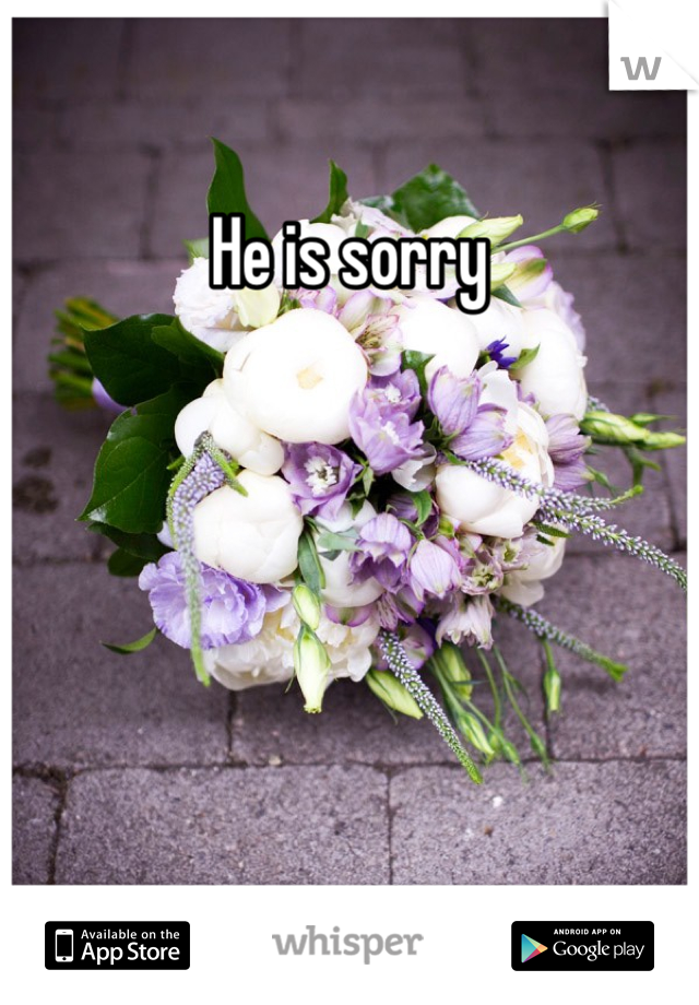 He is sorry