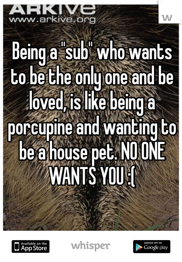 Being a "sub" who wants to be the only one and be loved, is like being a porcupine and wanting to be a house pet. NO ONE WANTS YOU :( 