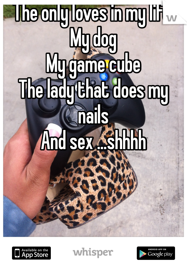 The only loves in my life:
My dog
My game cube
The lady that does my nails
And sex ...shhhh