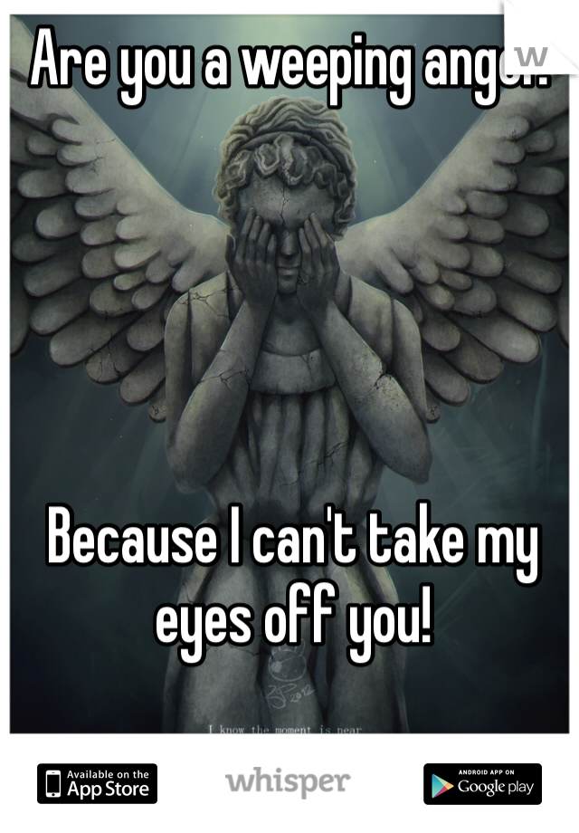 Are you a weeping angel? 





Because I can't take my eyes off you!
