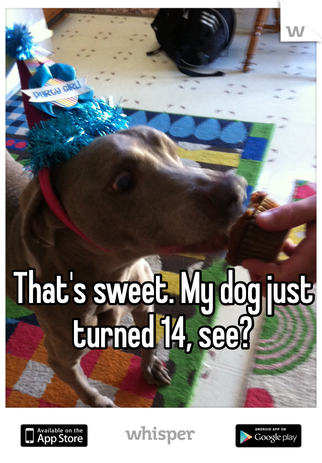 That's sweet. My dog just turned 14, see?