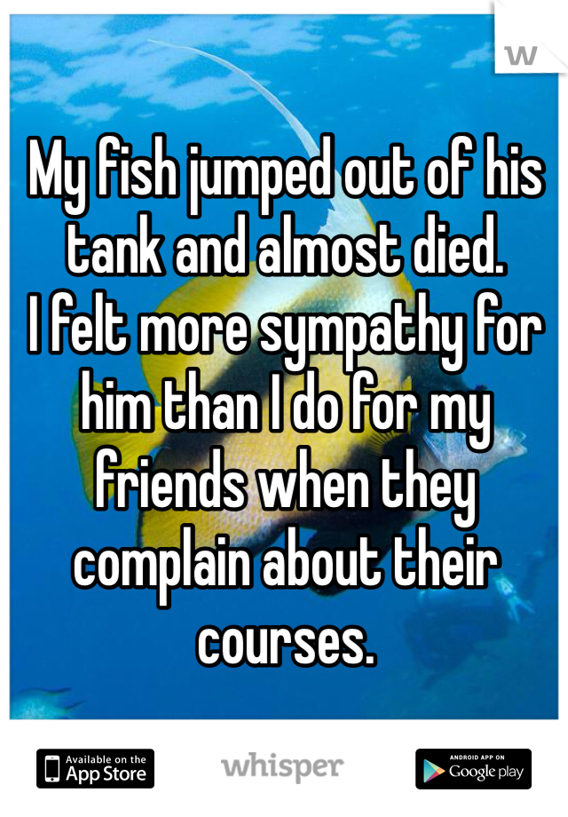 My fish jumped out of his tank and almost died.
I felt more sympathy for him than I do for my friends when they complain about their courses.