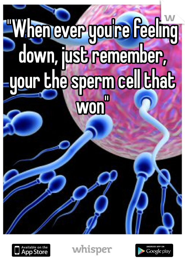 "When ever you're feeling down, just remember, your the sperm cell that won"