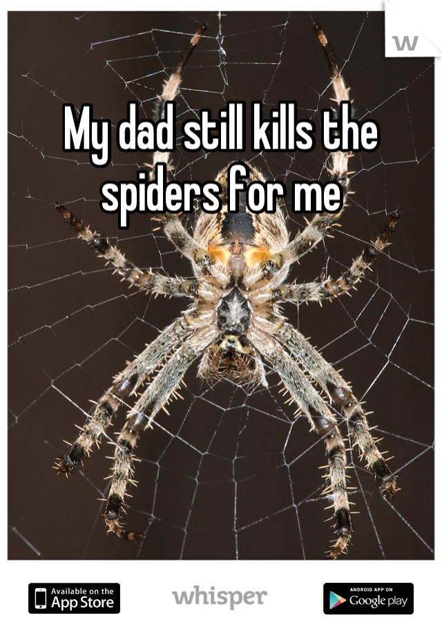 My dad still kills the spiders for me