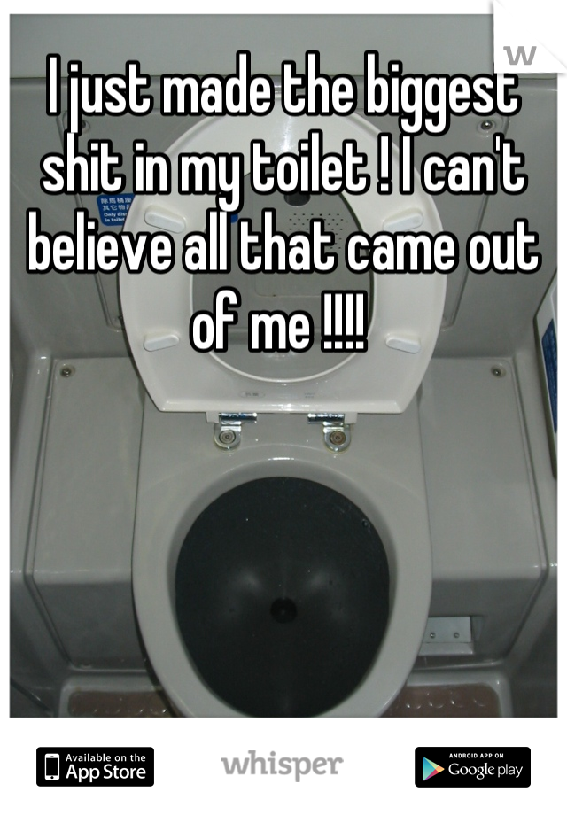 I just made the biggest shit in my toilet ! I can't believe all that came out of me !!!! 