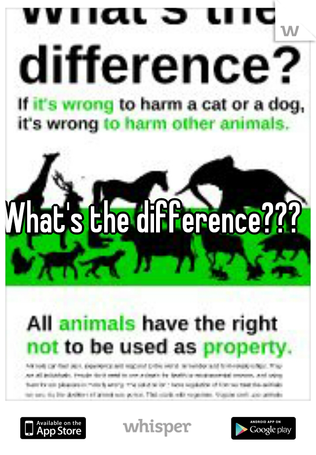 What's the difference???  