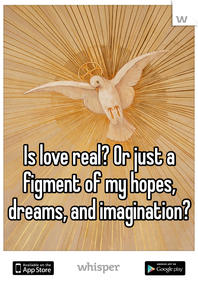 Is love real? Or just a figment of my hopes, dreams, and imagination?