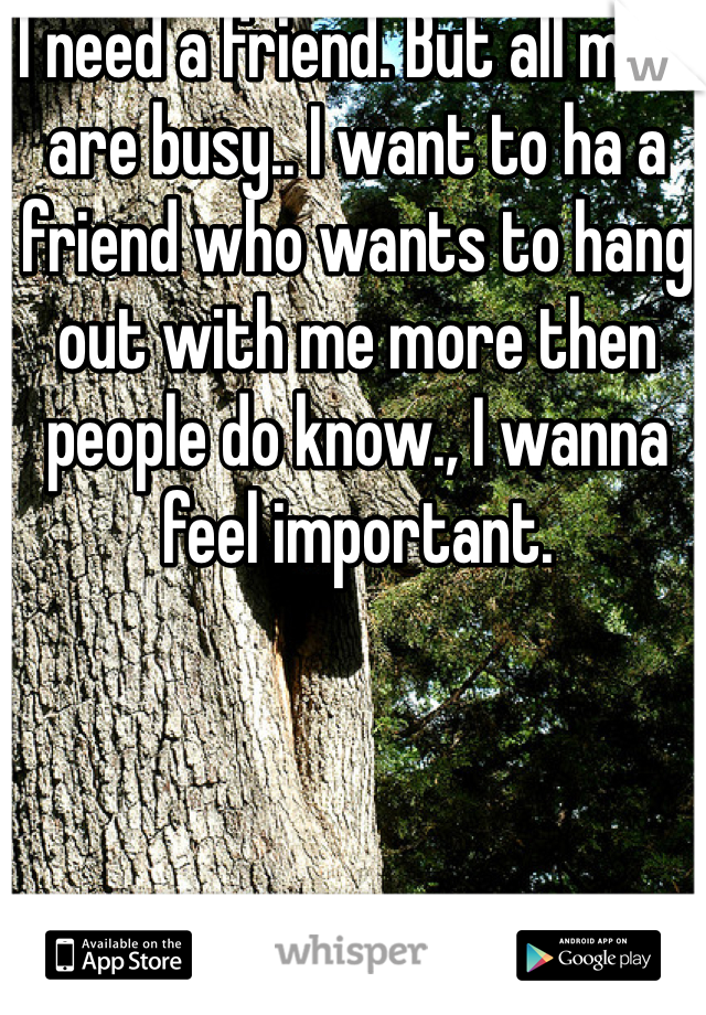 I need a friend. But all mine are busy.. I want to ha a friend who wants to hang out with me more then people do know., I wanna feel important. 