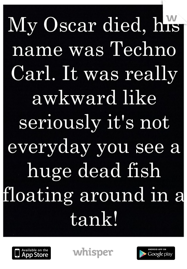 My Oscar died, his name was Techno Carl. It was really awkward like seriously it's not everyday you see a huge dead fish floating around in a tank!