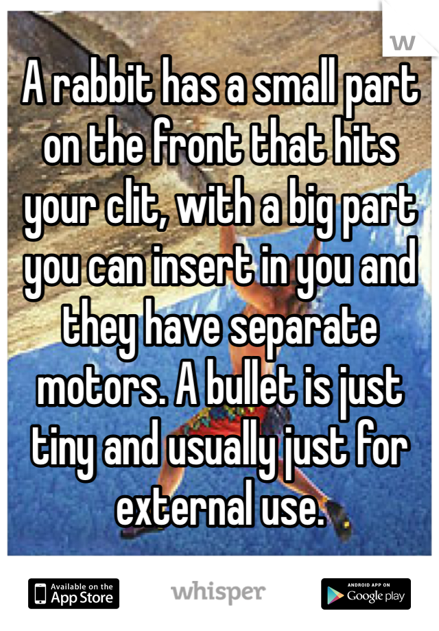 A rabbit has a small part on the front that hits your clit, with a big part you can insert in you and they have separate motors. A bullet is just tiny and usually just for external use. 
