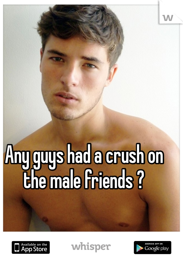 Any guys had a crush on the male friends ?