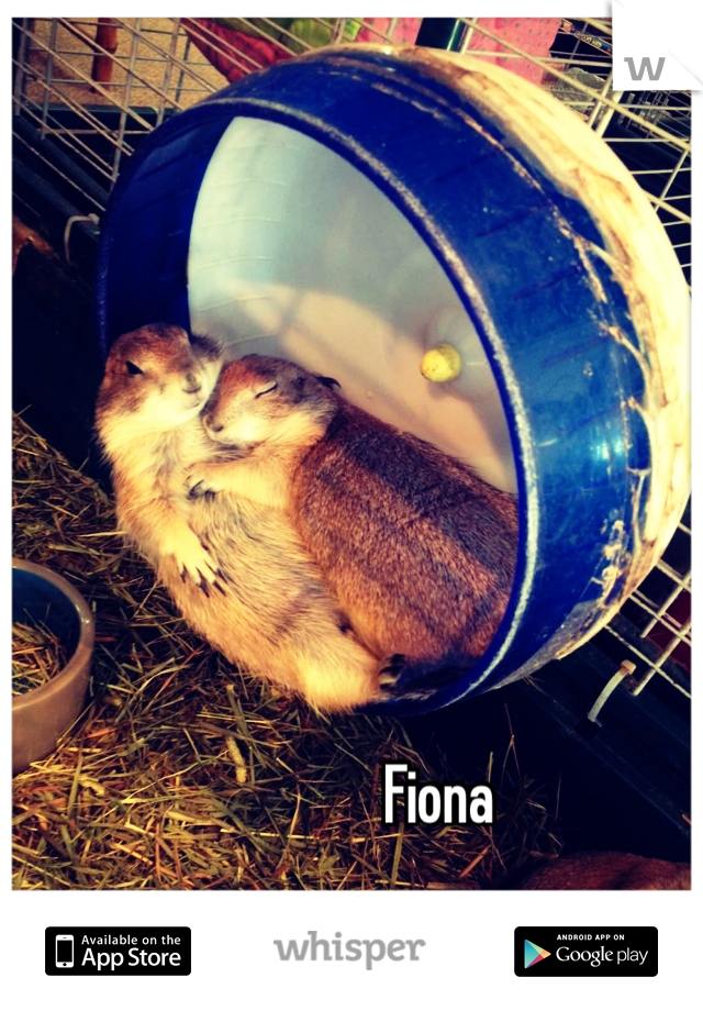Fiona
