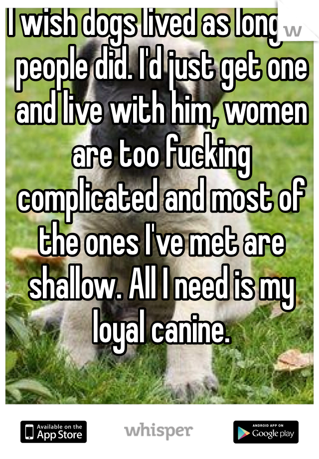 I wish dogs lived as long as people did. I'd just get one and live with him, women are too fucking complicated and most of the ones I've met are shallow. All I need is my loyal canine.