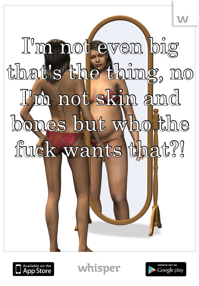 I'm not even big that's the thing, no I'm not skin and bones but who the fuck wants that?! 