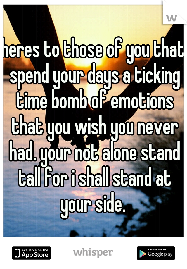 heres to those of you that spend your days a ticking time bomb of emotions that you wish you never had. your not alone stand tall for i shall stand at your side. 
