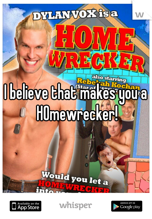 I believe that makes you a HOmewrecker!