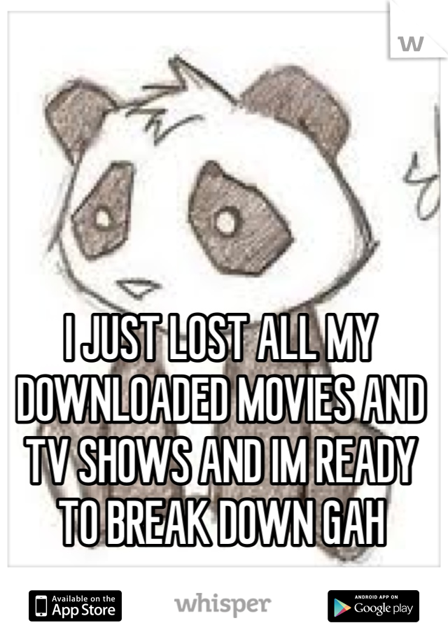 I JUST LOST ALL MY DOWNLOADED MOVIES AND TV SHOWS AND IM READY TO BREAK DOWN GAH
